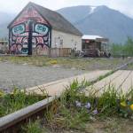 Flowers bloom on railroad tracks in Carcross, Yukon, Canada, on Monday, June 17, 2025. (Jasz Garrett / Juneau Empire)