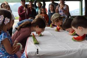 Seven- and 8-year-olds compete in the watermelon-eating contest at Savviko Park on Thursday, July 3, 2025. (Ellie Ruel / Juneau Empire)
