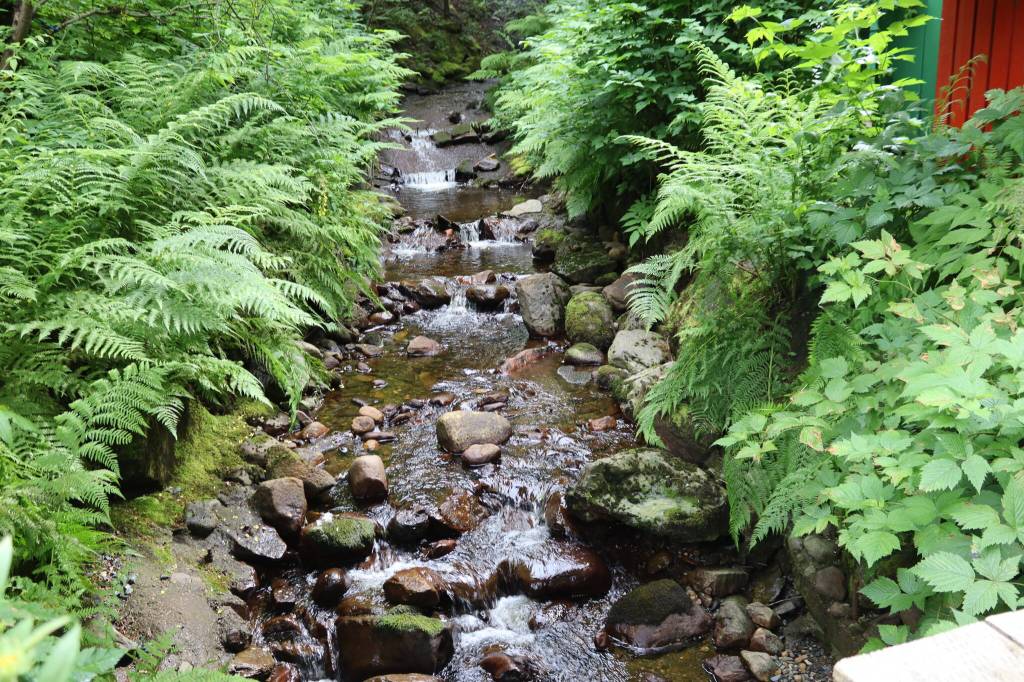A stream runs through Pam Varni and Bob Funks property on Saturday, July 5, 2025. (Ellie Ruel / Juneau Empire)