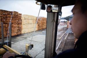 Danial Roberts, an employee at Viking Lumber Company, looks out at lumber from a forklift in Klawock, Alaska. (Courtesy of Viking Lumber Company)