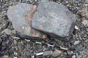 A meter stick laid alongside the damaged petroglyph rock shows the size of the stone. (Photo courtesy U.S. Forest Service)