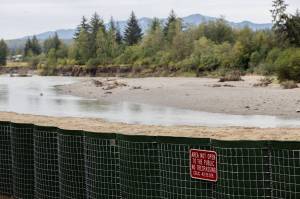 HESCO flood barriers installed near the banks of the Mendenhall River are photographed on Friday, Aug. 15, 2025, in Juneau, Alaska. Water levels rose by a record-breaking 16.65 feet on the morning of Aug. 13 during a glacial outburst from Suicide Basin. (Chloe Anderson/Juneau Empire)