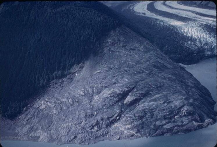 Don Miller took this photograph of a Lituya Bay hillside shortly after the giant wave in 1958. (Photo by Don Miller)