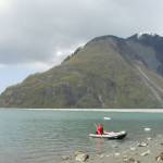 Light-colored vegetation shows the path of a wave that reached higher than 1,700 feet in Lituya Bay in 1958. (Photo by Ned Rozell)