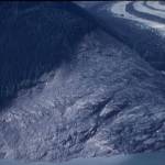 Photo by Don Miller
Don Miller took this photograph of a Lituya Bay hillside shortly after the giant wave in 1958.