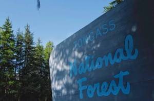 The Tongass National Forest sign seen en route to the Mendenhall Glacier Visitor Center on Wednesday, Aug. 28, 2019. (Michael Penn | Juneau Empire File)