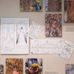 Field notes and artifacts produced for the Threshold 32°F exhibit at the Museum of the North in Fairbanks, Alaska, Aug. 2, 2025. Named after the freezing temperature of water, the show depicts the lives of northern plants and animals through one full season. (Chona Kasinger/The New York Times)