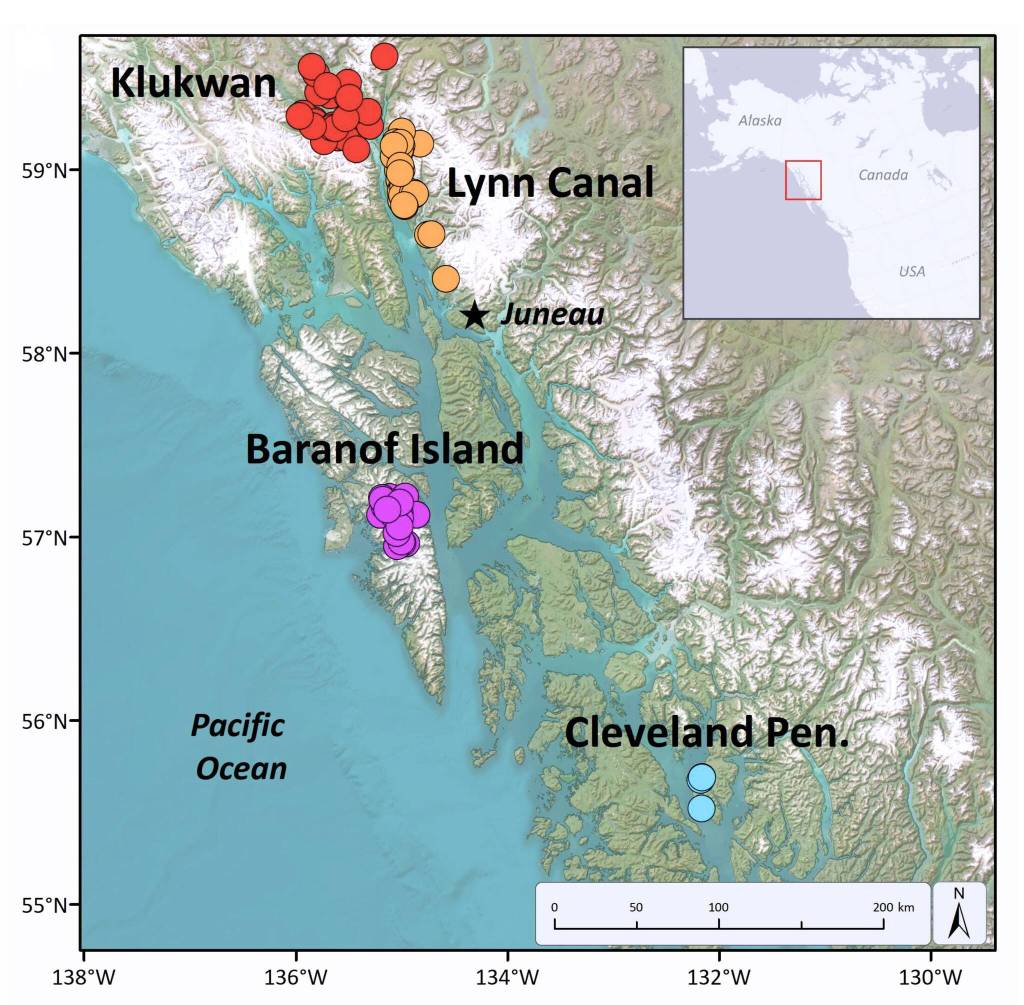 Map depicting the four study areas and locations where radio-marked mountain goats were studied and died in avalanches during 2005 – 2021 in coastal Alaska. (image by Kevin White)