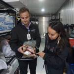 Photos by Yereth Rosen/Alaska Beacon
Shea Siegert, senior manager of external affairs at the Alaska Native Tribal Health Consortium, and Kelsey Wallace, president of the Alaska Native Heritage Center, examine a bag of frozen salmon heads on Oct. 30, 2025. The bag is part of the collection of wild foods donated to Yukon-Kuskokwim residents displaced by the remants of Typhoon Halong. The fish heads are among the masses of food donated from around the state. Food has been collected in and distributed from a huge freezer trailer parked at the Alaska Native Heritage Center, in which Seigert and Wallace are standing.