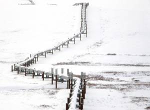 The trans-Alaska pipeline, seen on Oct. 8, 2008, threads over snow-covered terrain in the Brook Range foothills. A gryfalcon is perched on one of the pipelines thermosphyons in the lower center of the photo. (Photo by Craig McCaa/U.S. Bureau of Land Management)