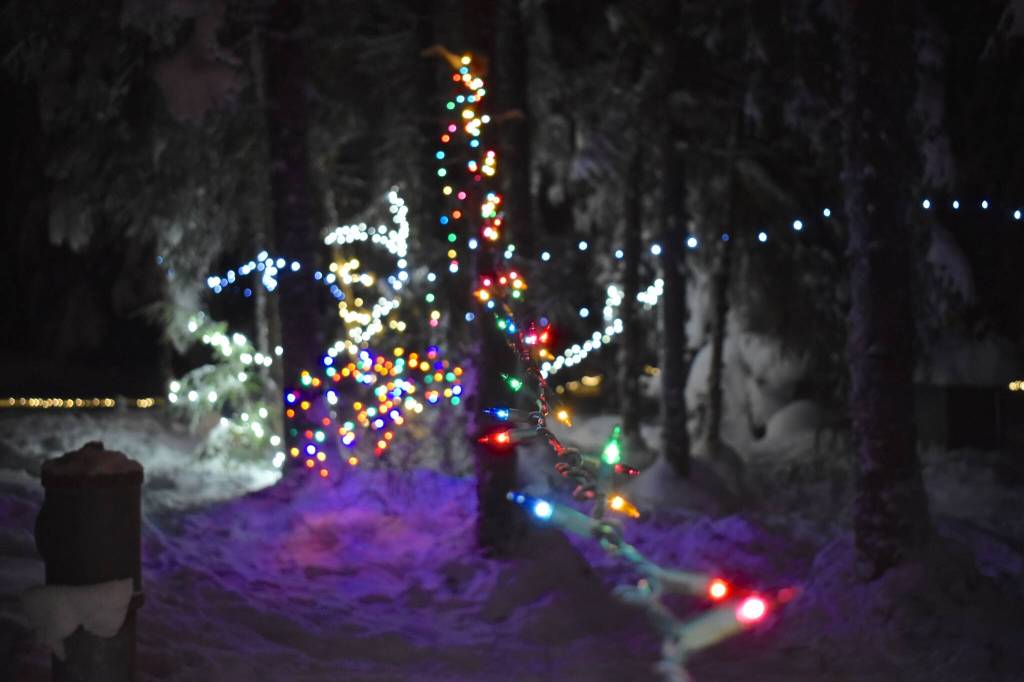 LED lights adorn trees along the snow-covered Mendenhall Campground Loop trails on for the Light the Night event on Dec. 21, 2025. (Mari Kanagy / Juneau Empire)