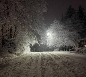 A Douglas street is blanketed in snow on Dec. 6, 2025. (Mari Kanagy / Juneau Empire)