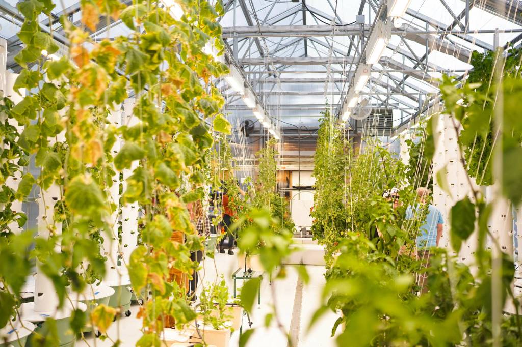 In 2025, Hoonahs community greenhouse began producing fresh food for the school district and childcare center. During the 2025 SSP Work Planning Retreat, catalysts visited the greenhouse in full bloom. (Shaelene Grace Moler photo)