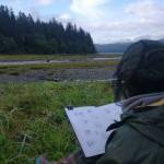 Photo courtesy of Paul Robbins
Bea Martin Villalba, nature journaler and scientific illustrator, sketches brown bears at Pack Creek Bear Viewing Area as part of the 2024 Kootznoowoo Artist in Residency.