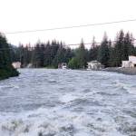 Mendenhall River flood in 2025. (Photo courtesy of Kim Kiefer)