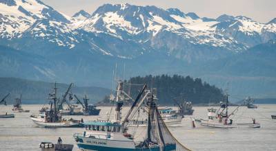 Seine fishermen work to catch chum salmon during a six-hour opening outside of Amalga Harbor. (Juneau Empire File)