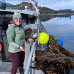 Amanda Kelley photo
Josianne Haag recovers a mooring in a kelp farm in Jakolof Bay, Alaska.