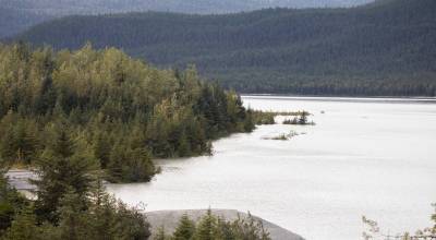 Trees standing in water on the flooded shore of Mendenhall lake are pictured from the Mendenhall Glacier Visitor’s Center on Sept. 15, 2025. (Chloe Anderson for the Juneau Empire)