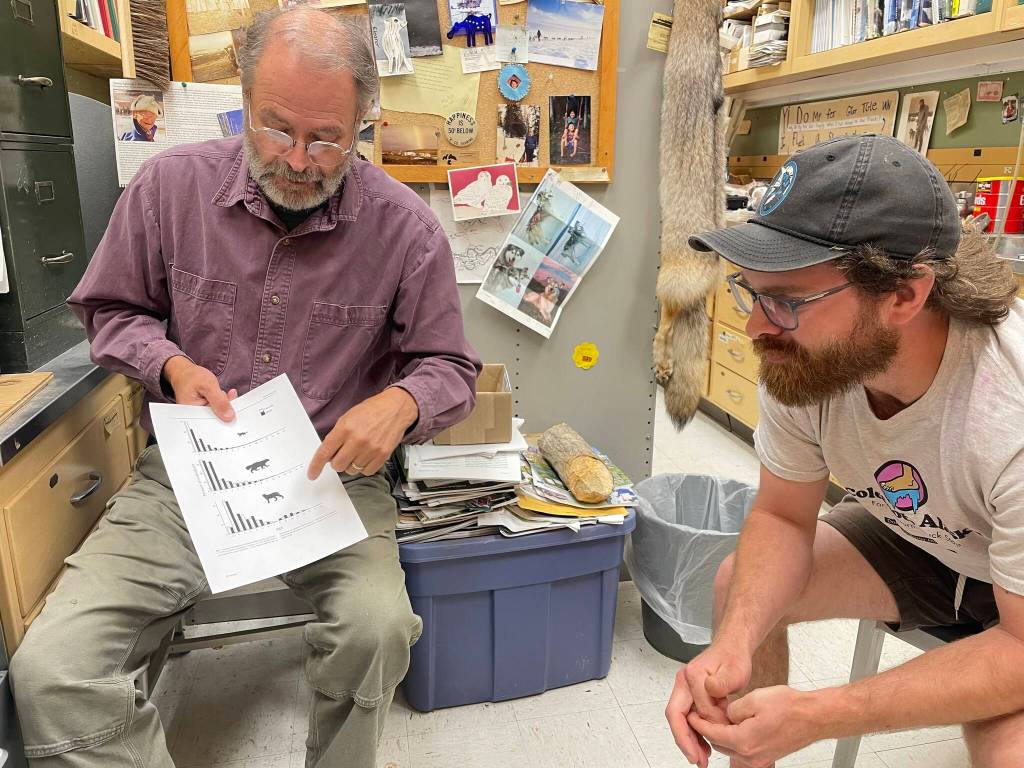 Photo by Sara Wilbur 
Knut Kielland, left, and Matt Kynoch look over age-count figures for marten, wolverines and lynx in Kiellands office during a recent interview. Coincidentally, Kynoch is wearing a T-shirt from the Coldfoot truck stop.