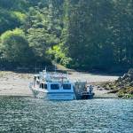 The motor vessel Eagle One Express (left) is beached alongside a good Samaritan vessel at Annette Island, Alaska, July 16, 2026. Four good Samaritan vessel crews responded to an Urgent Marine Information Broadcast to assist in the transportation of 36 passengers to Ketchikan. (U.S. Coast Guard courtesy photo)