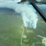 The Grandview Fire grew to nearly 100 acres near Sterling in June. (Photo courtesy of Division of Forestry & Fire Protection)