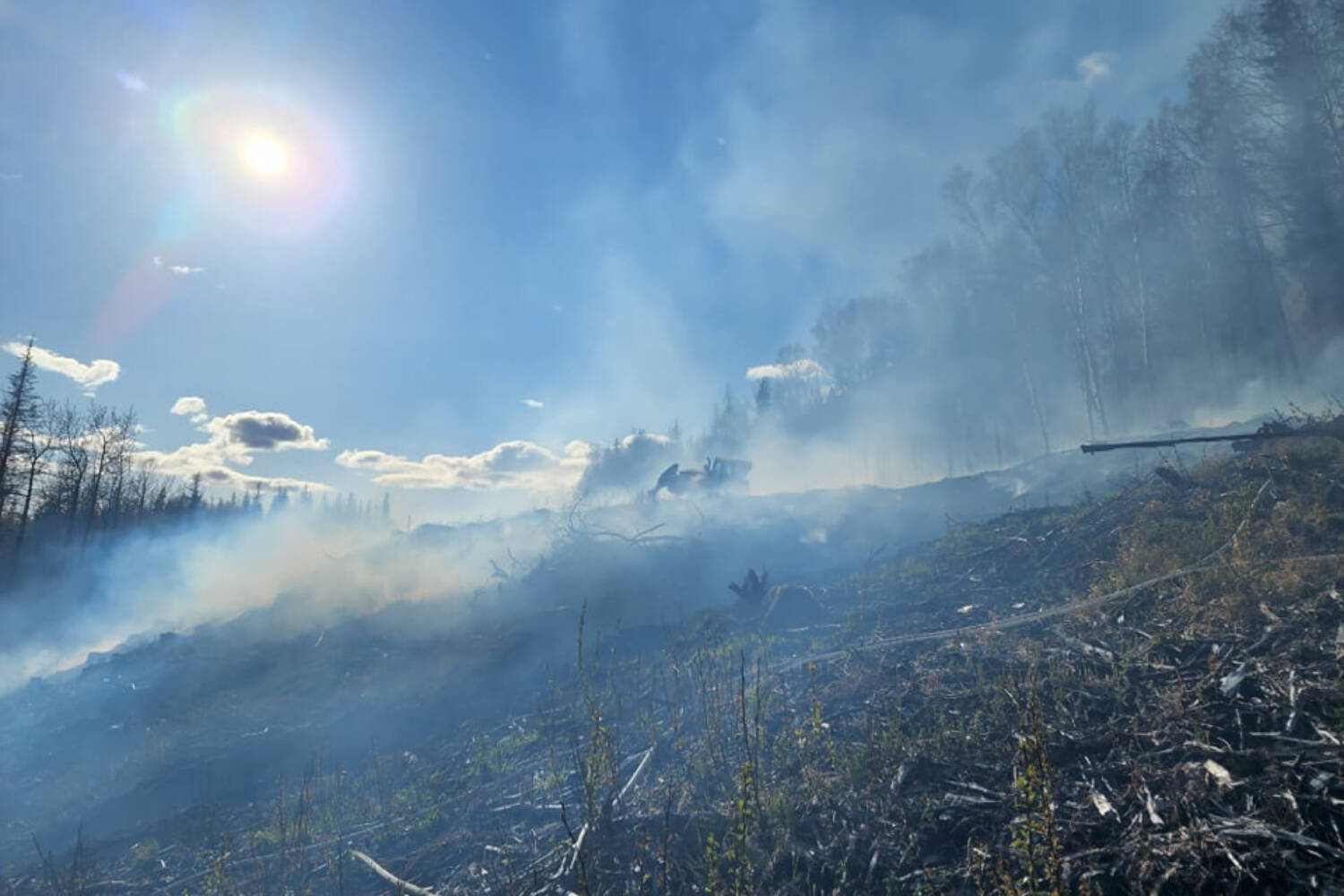 Alaska named most dangerous state for wildfires — MARKET — Aslikannih
